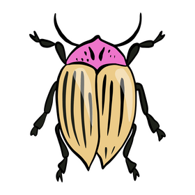 Bug clipart