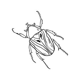 Bug black and white clipart vector free download