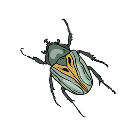 Bug clipart