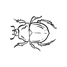 Bug drawing black and white clipart free download