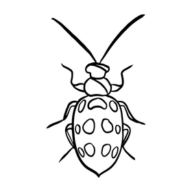 Bug drawing black and white clipart