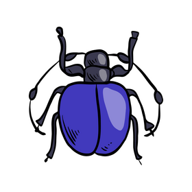 Blue bug drawing clipart