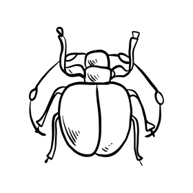 Bug drawing black and white clipart free download