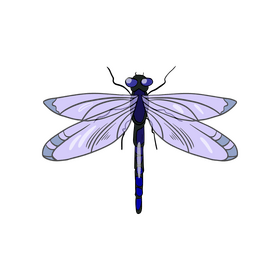 Cartoon dragonfly clipart