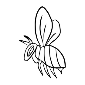 Bee black and white clipart