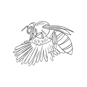 Bee on a flower black and white clipart