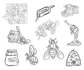 Bees, honey set black and white vector