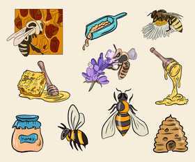 Bees, honey set vector