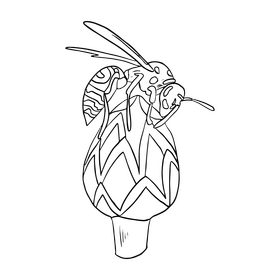 Free bee on a flower black and white clipart