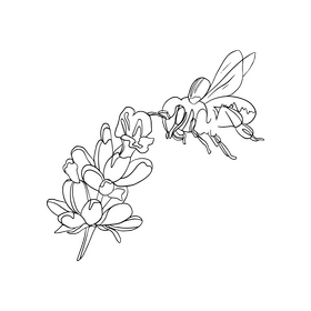 Bee on a flower illustration black and white clipart
