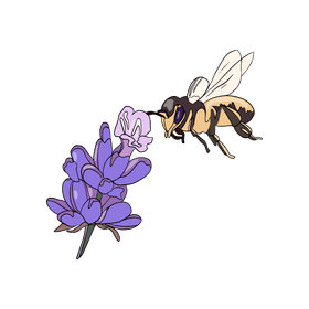 Bee on a flower illustration clipart