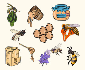 Free bees, honey vector