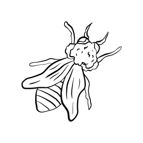 Free bee drawing black and white clipart