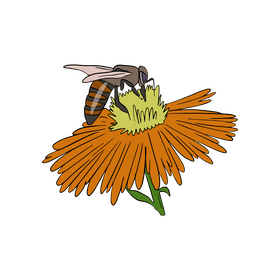 Bee vector - for free download