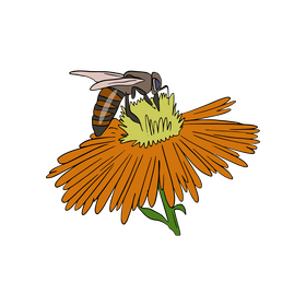 Bee on a flower clipart