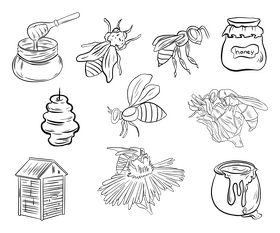 Bee illustration black and white vector