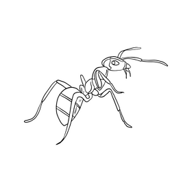 Ant black and white clipart