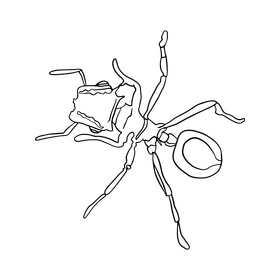 Free ant drawing black and white clipart