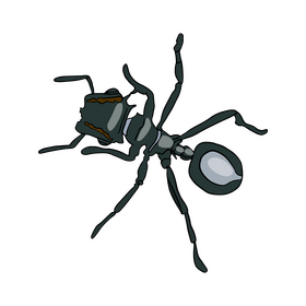 Free ant drawing clipart