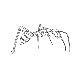 Free ant drawing black and white clipart