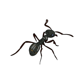 Ant drawing clipart