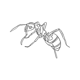 Ant illustration black and white clipart