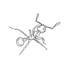 Ant black and white clipart