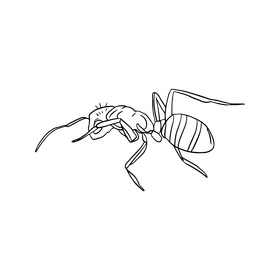 Ant black and white clipart