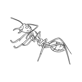 Free ant black and white clipart