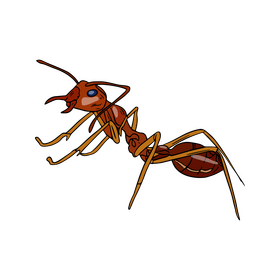 Free ant clipart