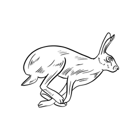 Running hare cartoon black and white clipart
