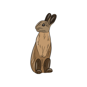 Hare cartoon drawing clipart