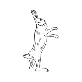 Hare black and white clipart