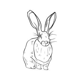 Free hare black and white clipart