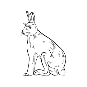 Sitting hare drawing black and white clipart