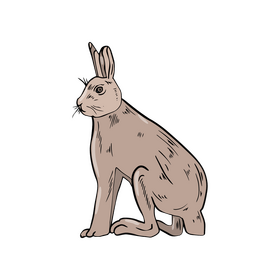 Sitting hare drawing clipart