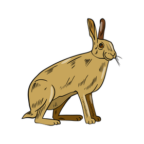 Hare clipart free download