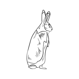 Hare black and white clipart