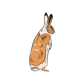 Orange hare clipart