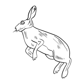 Jumping hare black and white clipart