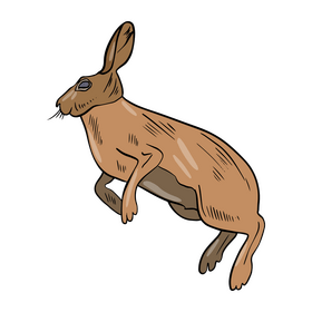 Jumping hare clipart