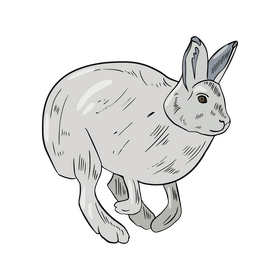 Hare clipart