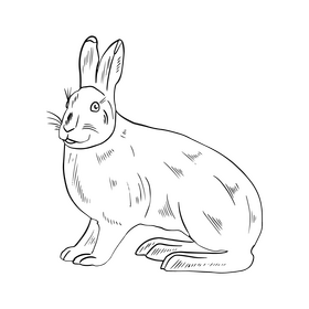 Hare black and white clipart