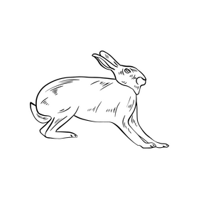 Free hare black and white clipart