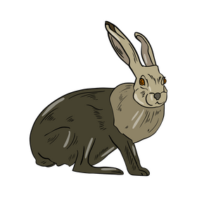 Hare clipart