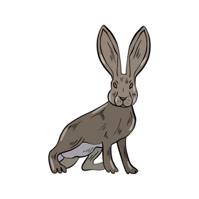 Hare clipart