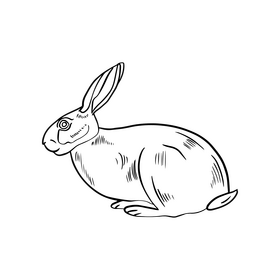 Cute hare black and white clipart