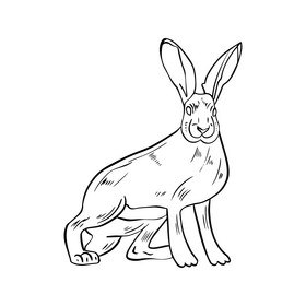 Cute hare black and white clipart