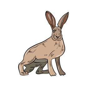 Cute hare clipart