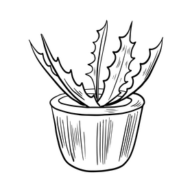 Cartoon flower in a pot black and white clipart